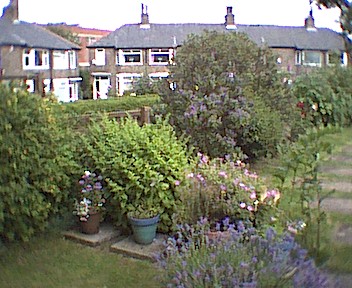 The Herb Garden