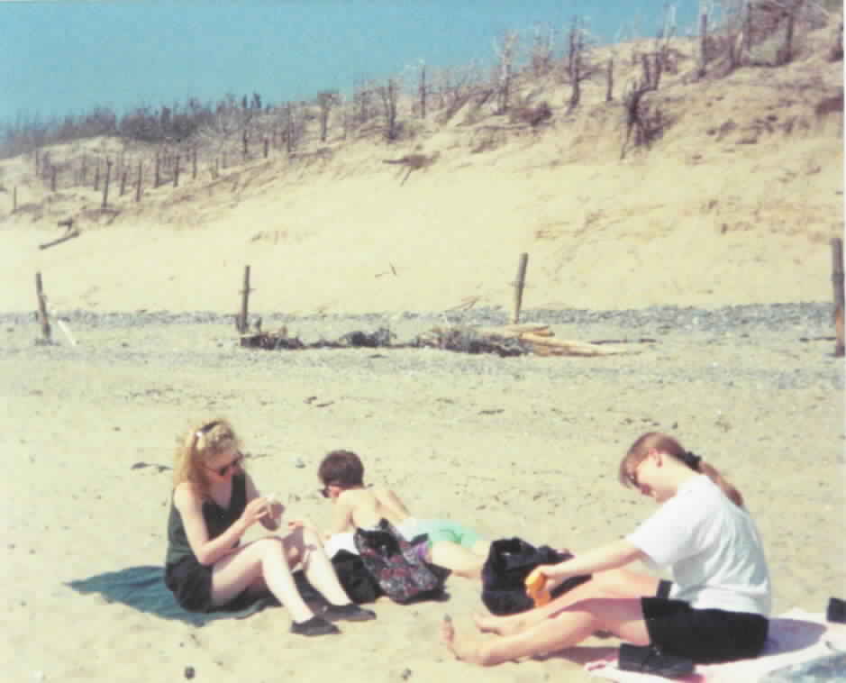 Revising on an Anglesea beach